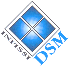 D.S.M. INFISSI S.r.l.